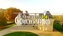Le vignoble bordelais-Excursions Gourmandes-Aquitaine 