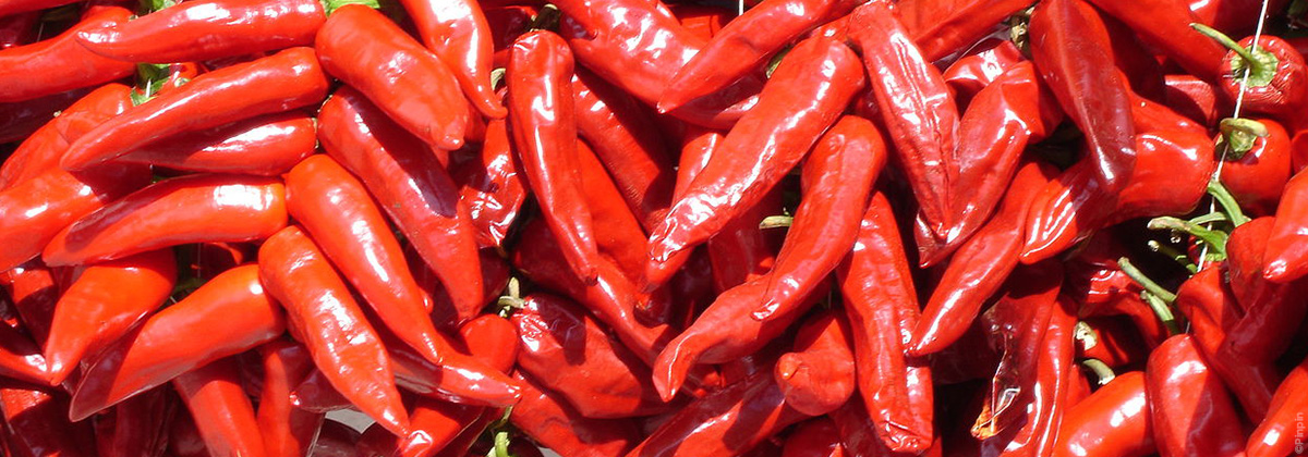 Piment dEspelette